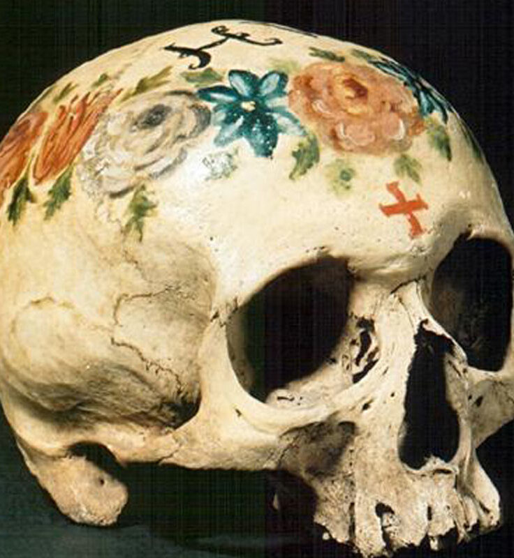 Ein Totenschädel im Anatomischen Museum.