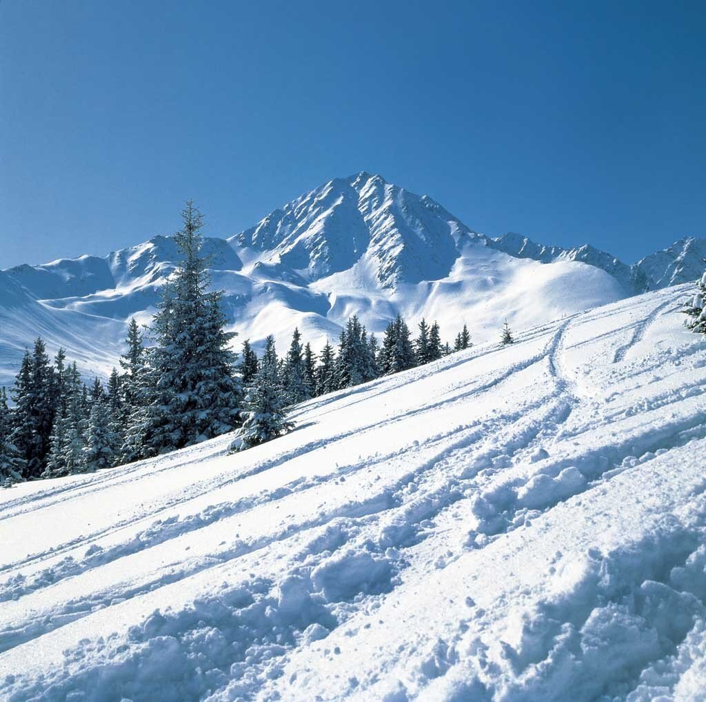Blick auf den Berg Roßkogel.